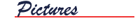 pictures.gif (1711 bytes)